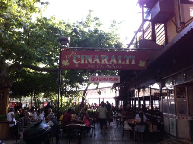 Cinaralti Tea Garden